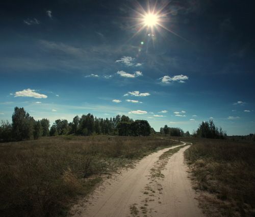 Sunny road
