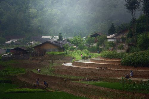 Деревенские будни. Северный Вьетнам.