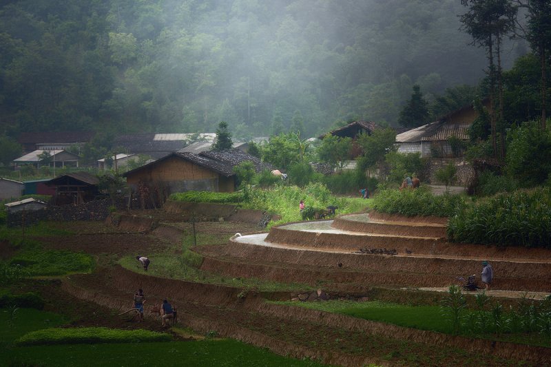 vietnam, Деревенские будни. Северный Вьетнам. фото превью
