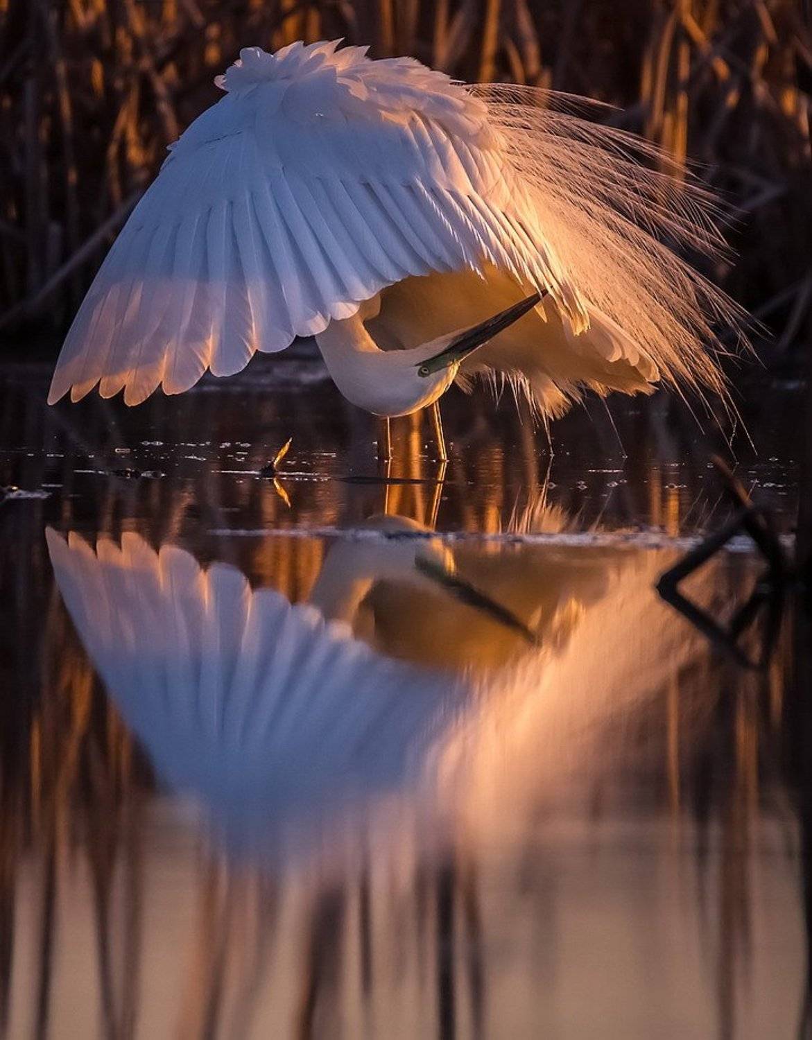 , Вячеслав Мищенко