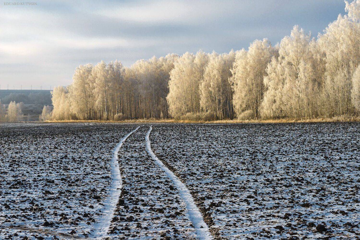 , Кутыгин Эдуард