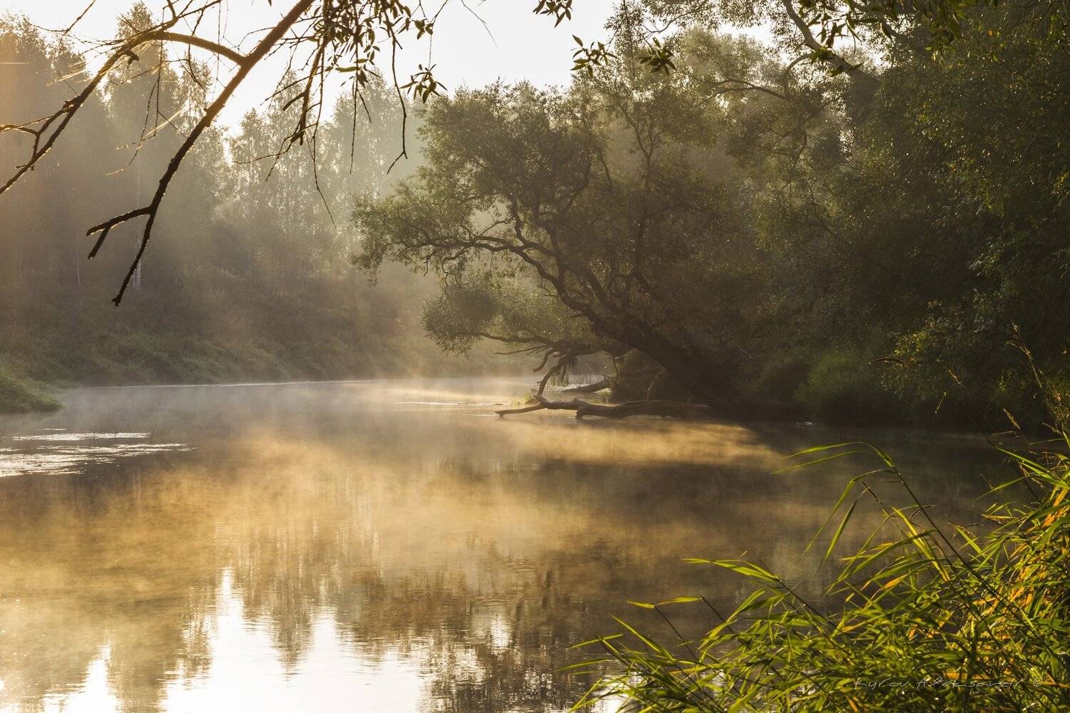 истра, туман, сентябрь, Александр Кыров
