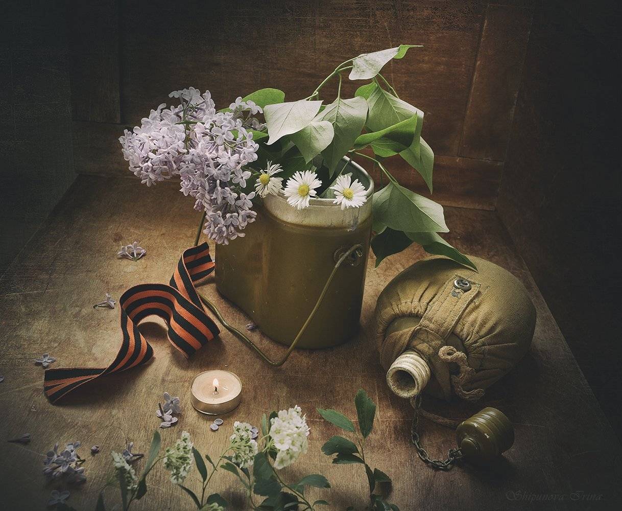 , Шипунова Ирина