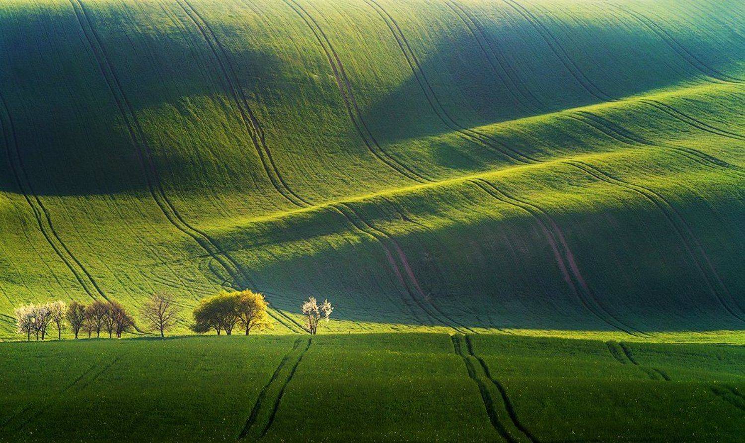 , Marcin Sobas