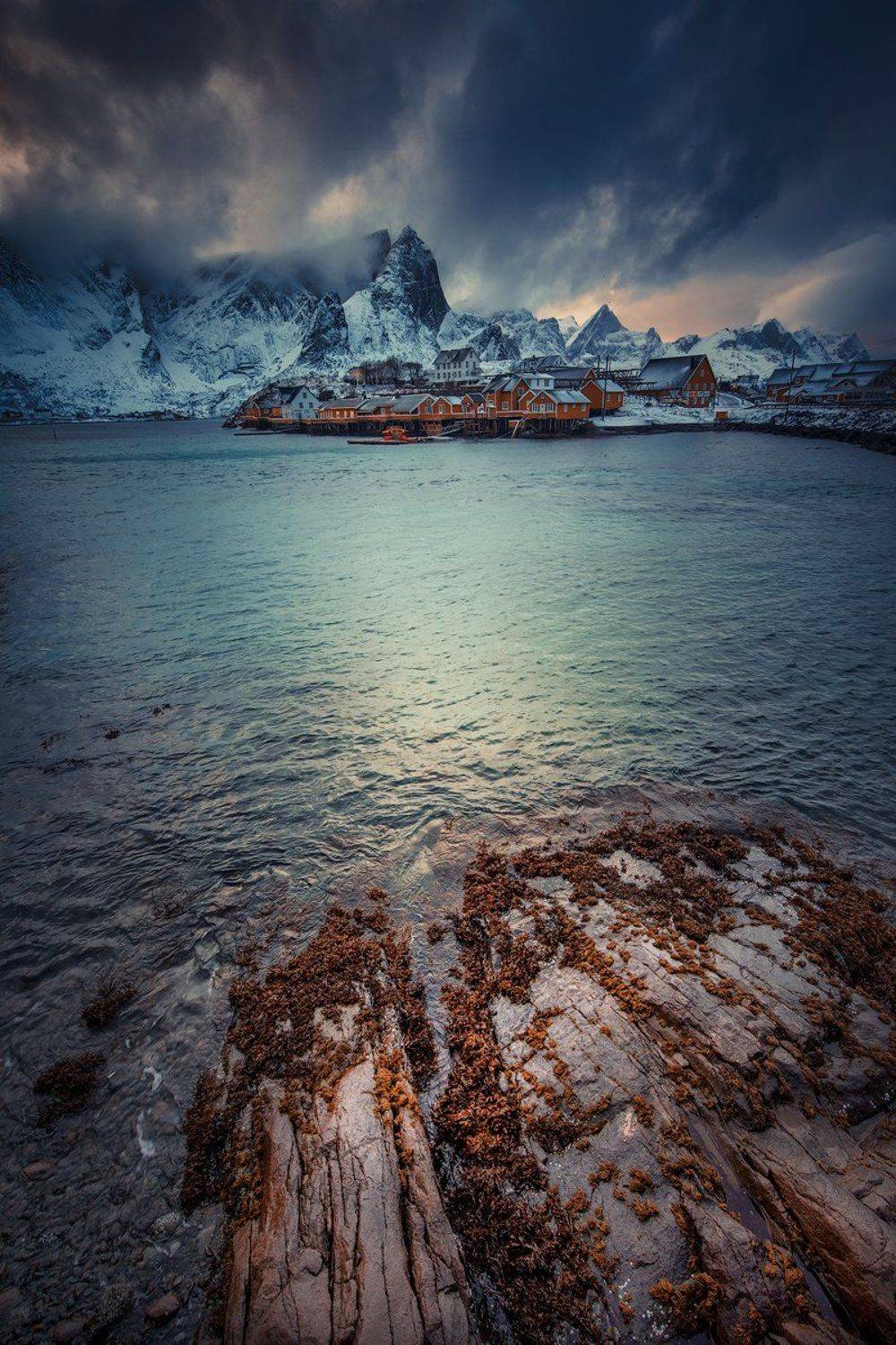 , Тодор Божков