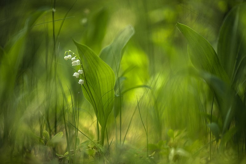 Будем жить! фото превью