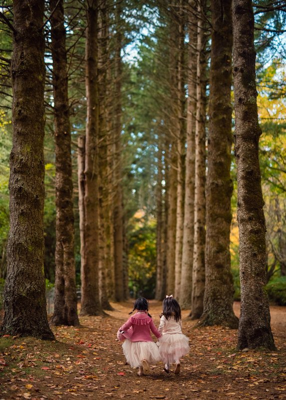 into the forest... фото превью