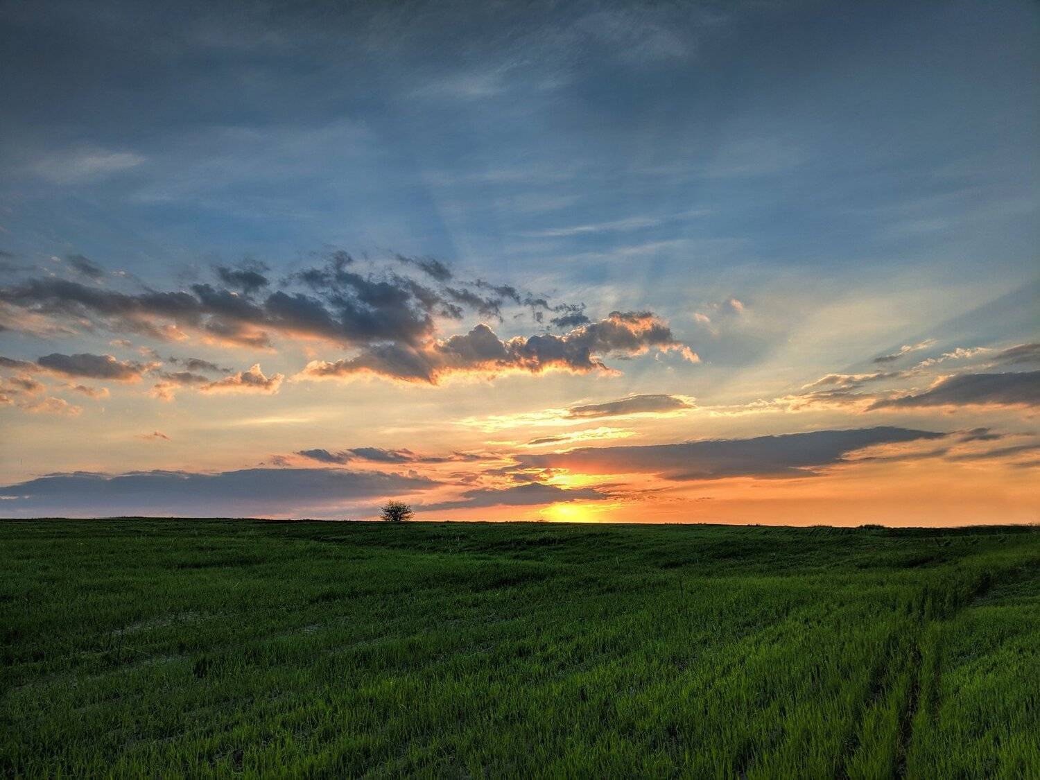 sunset,закат,пейзаж,небо,цвет,, Сергей Богачёв