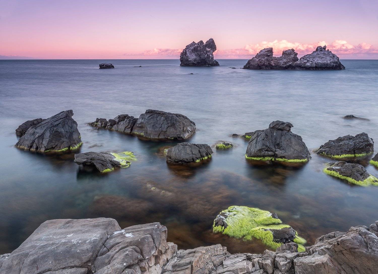 , Станислав Савицкий