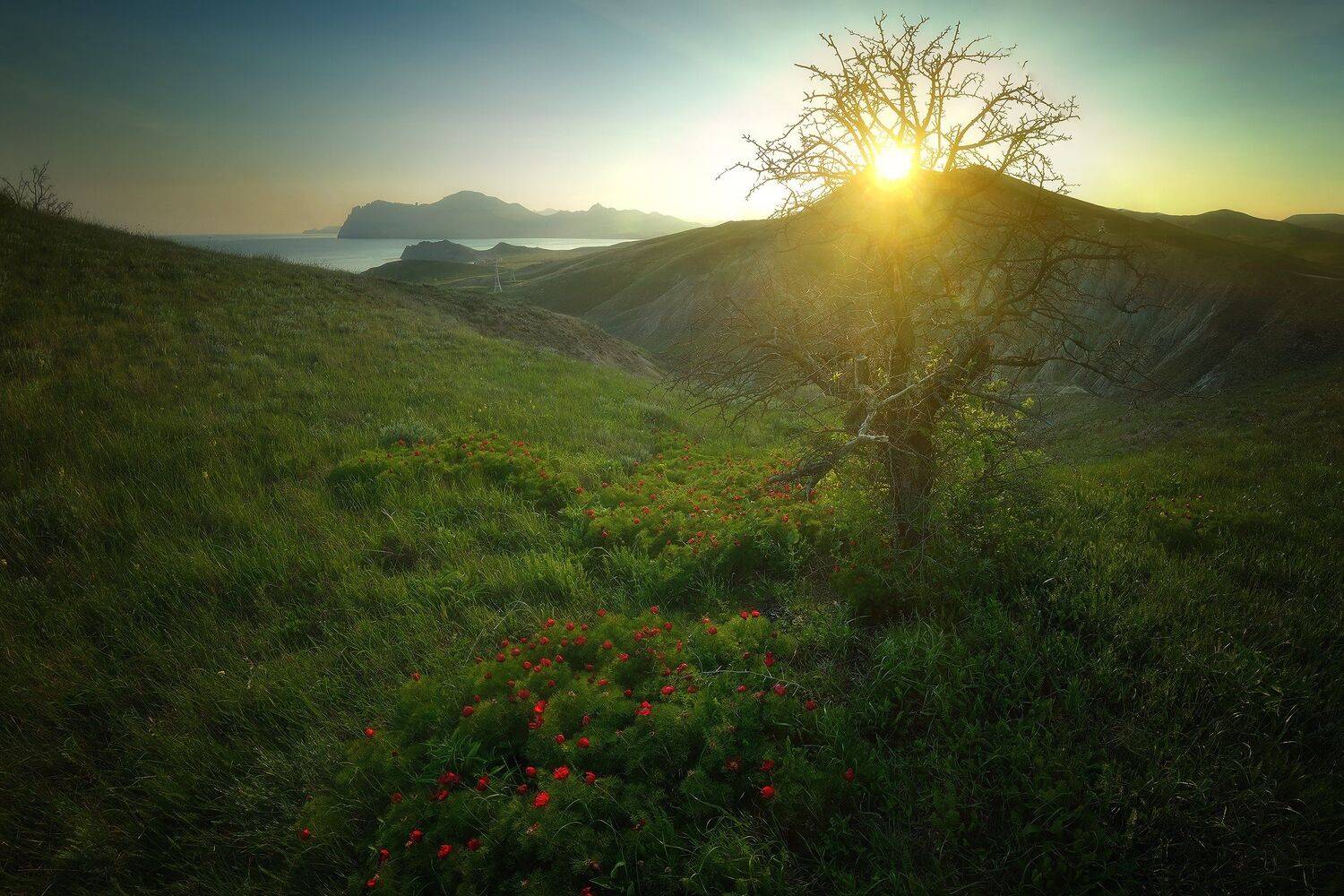 крым, природа, весна, горы, море, Алексей Никонов