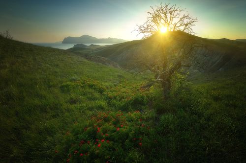 Крымские горы