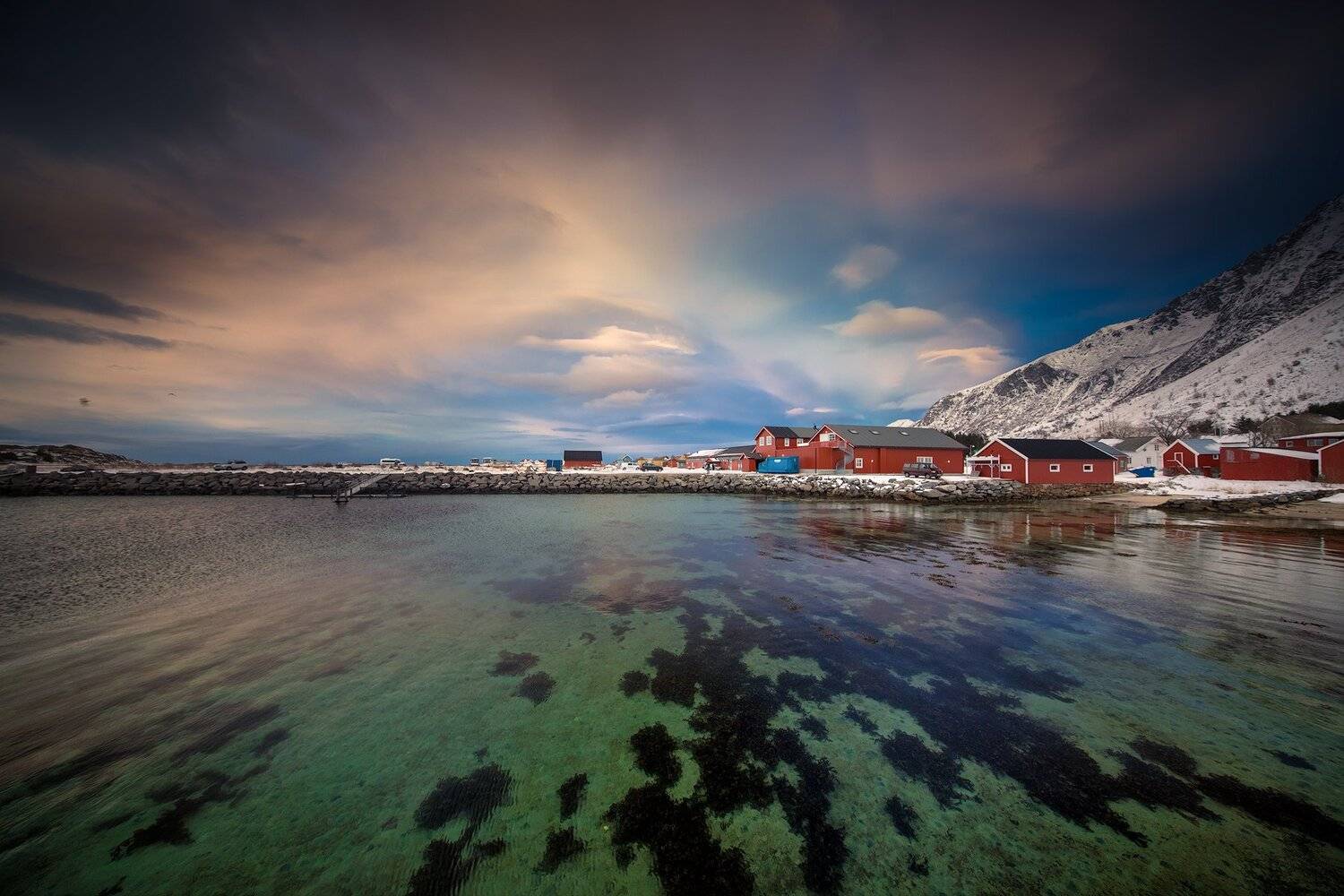 , Тодор Божков