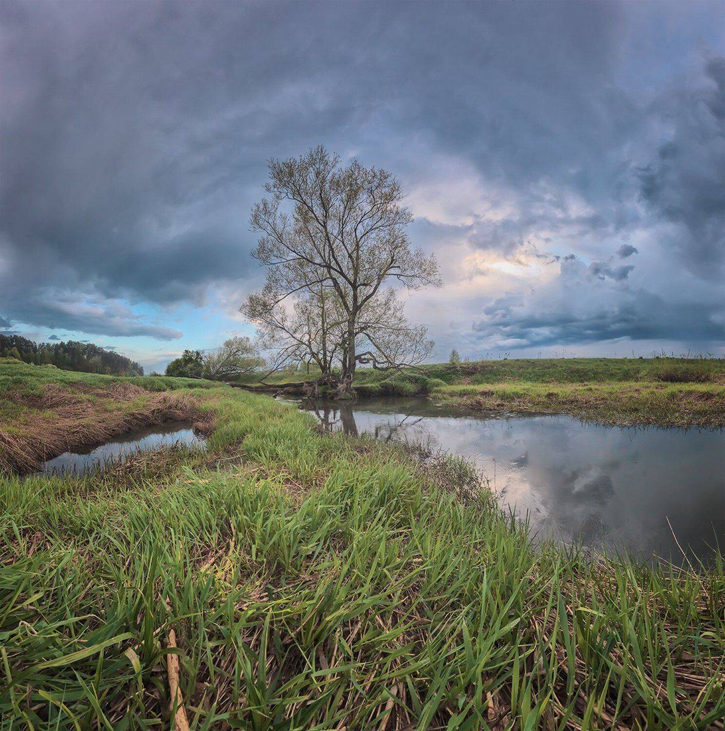 , Николай Андреев
