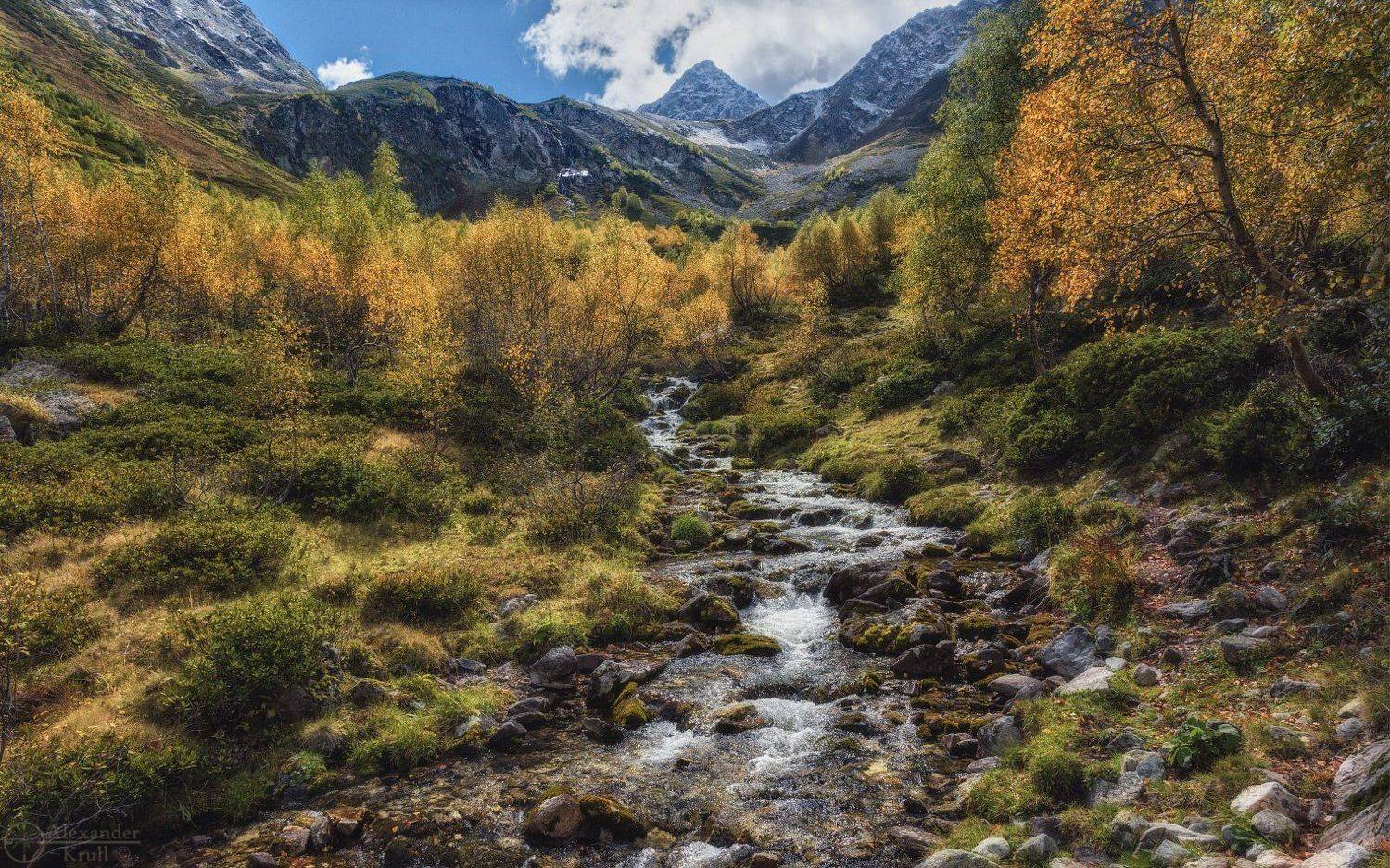 , Александр Круль