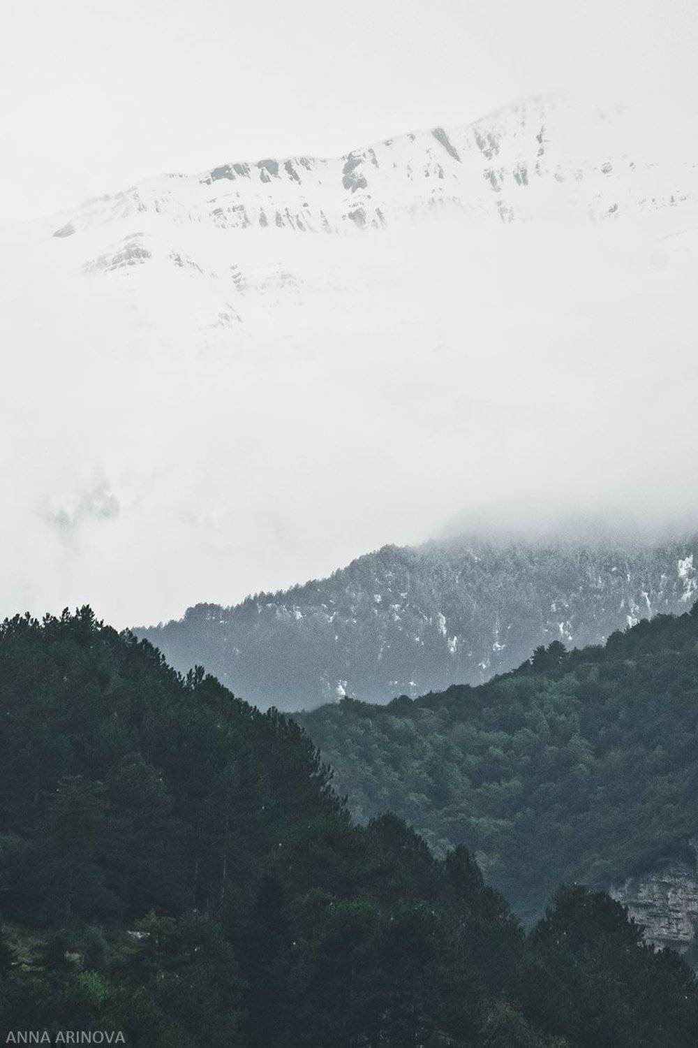 , Анна Аринова