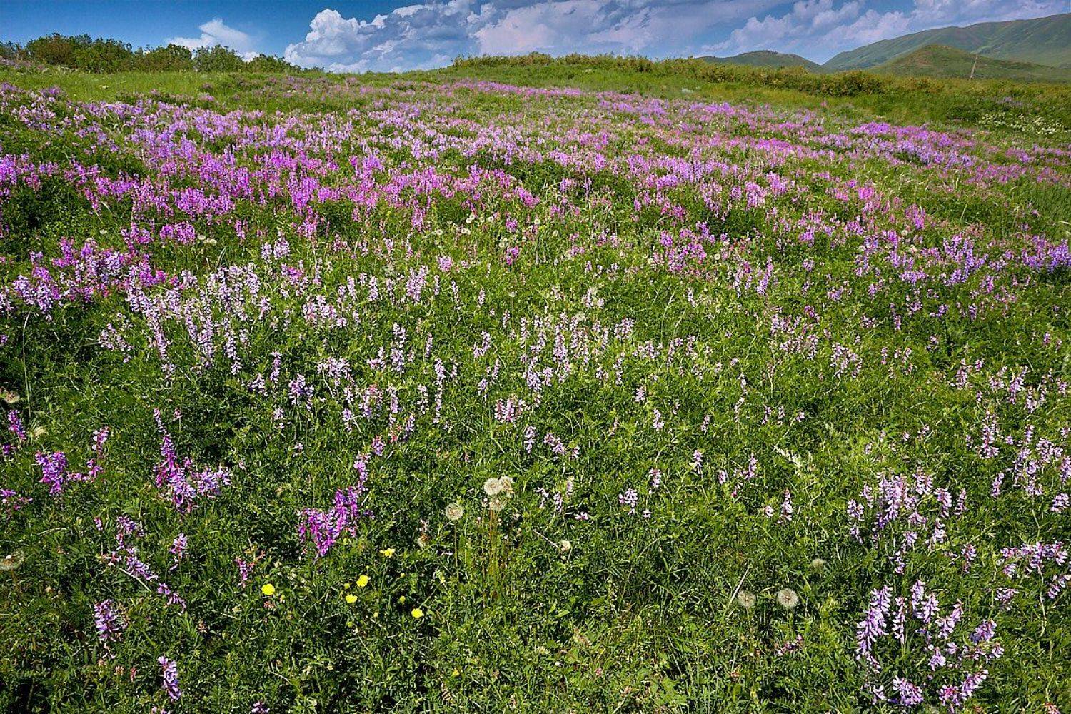 башкирия, южный урал, урал, орск, новотроицк, талкас, гадельша, сибай, зилаир. баймак, юлдыбаево, озеро талкас, водопад, водопад гаделша, пейзаж, лето, осень, качурин, зима, весна, ковыль, Качурин Алексей