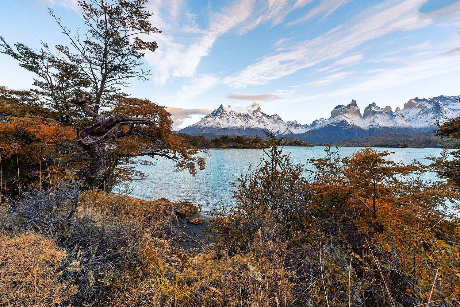 пейзаж, горы, озеро, Патагония, Чили. Парк ,Торес Дель Пайне, озеро, Pehoe., Лариса Николаевна Дука