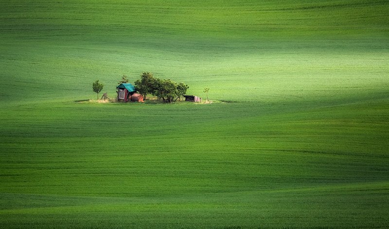 Rancho фото превью