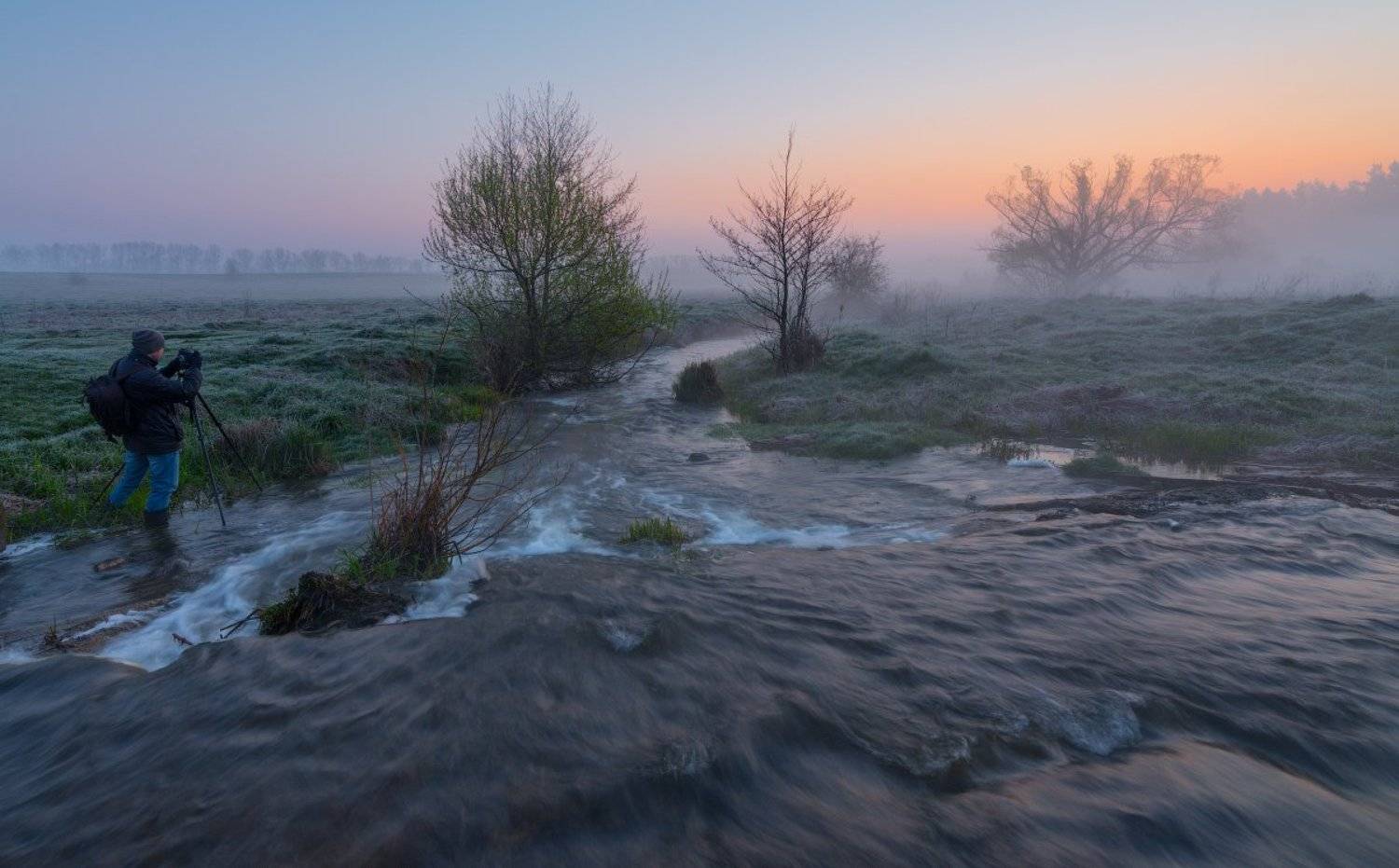 , Сергей Добровольский
