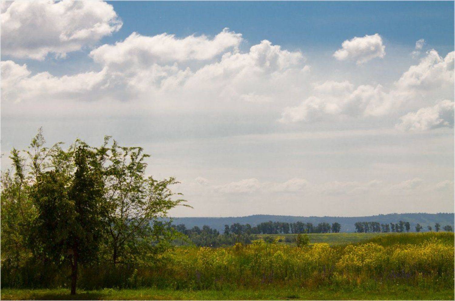 лето, Курочкина Диана