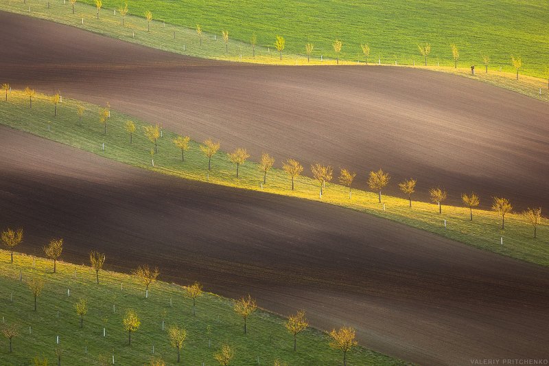 Фотограф фото превью