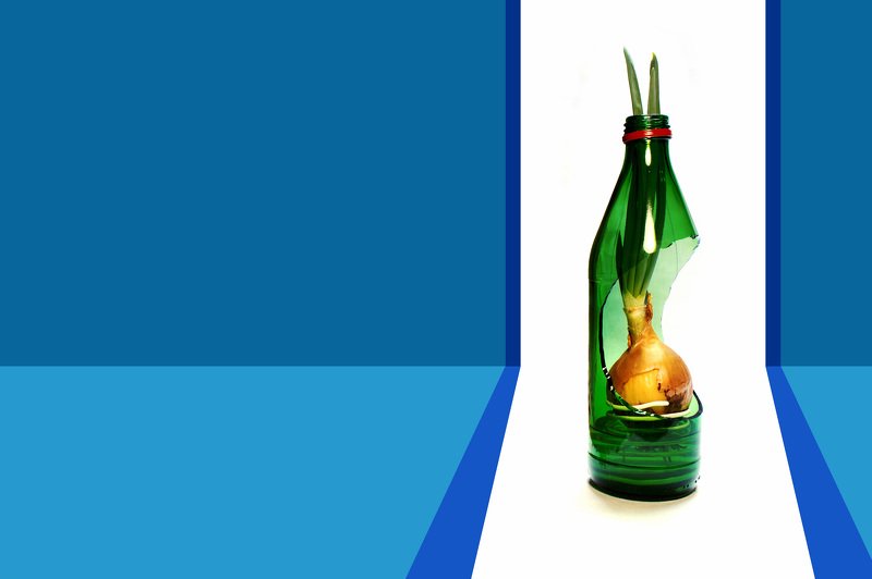 прорастание фото превью