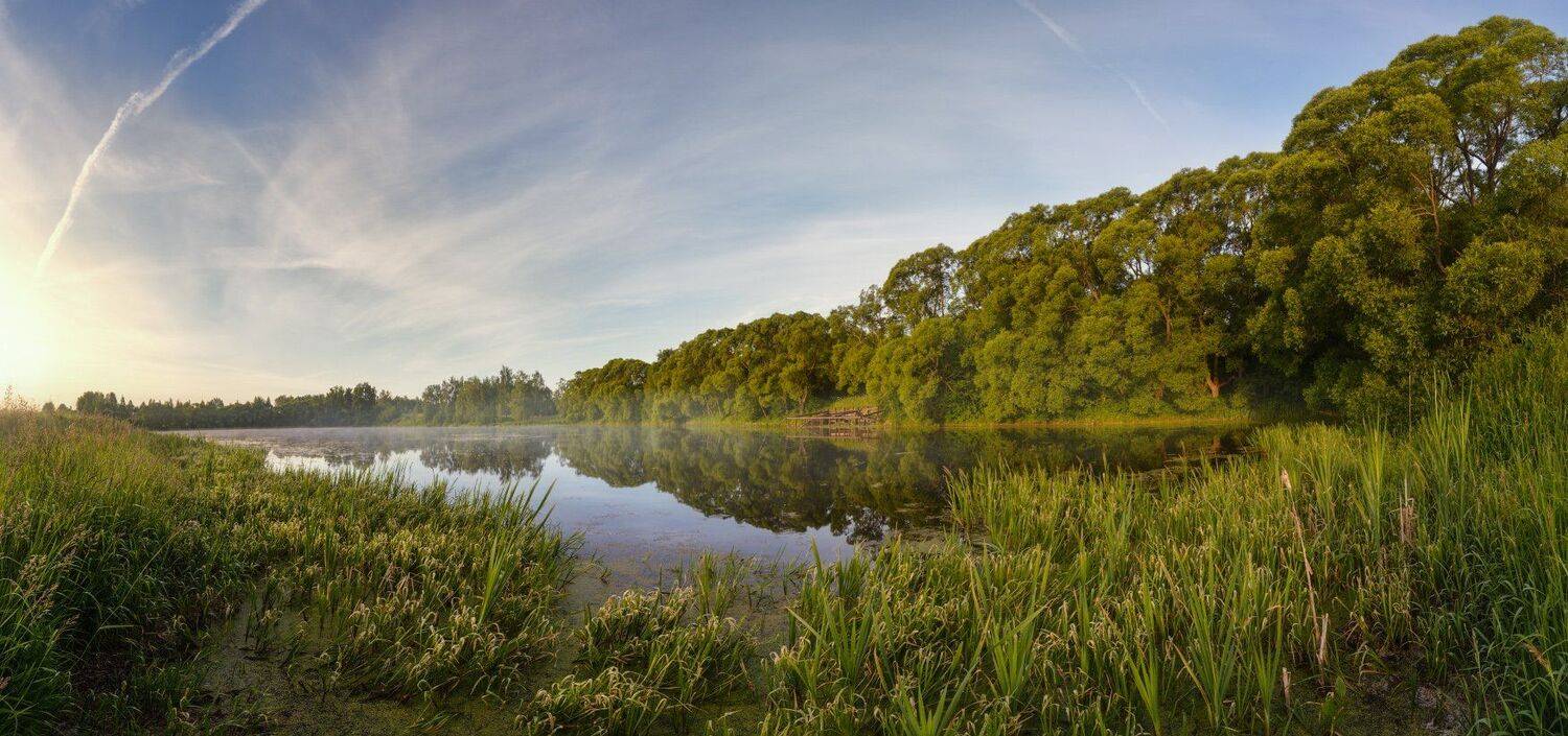 тула снежедок бежин луг тургенев чернь, Сергей Кочергин