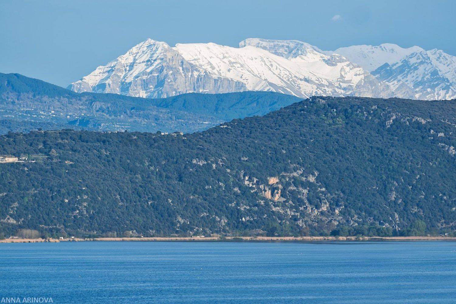 , Анна Аринова