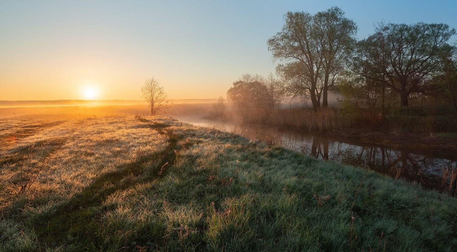 , Александр Бредихин