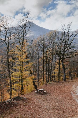 Осень в Красной Поляне