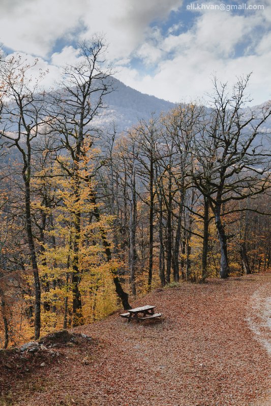 Красная Поляна, Сочи, кругозор Ефремова Осень в Красной Поляне фото превью