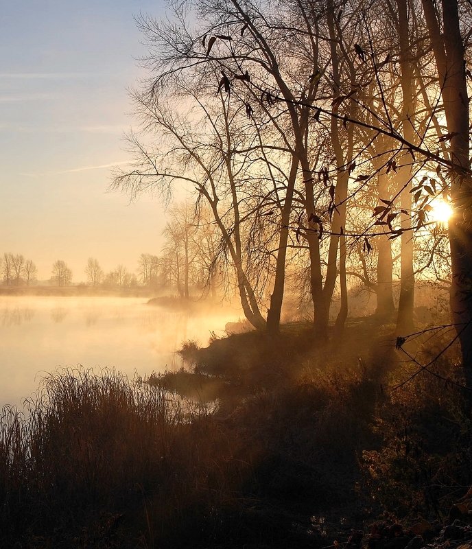 утро фото превью