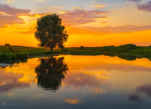 Картинки Волги