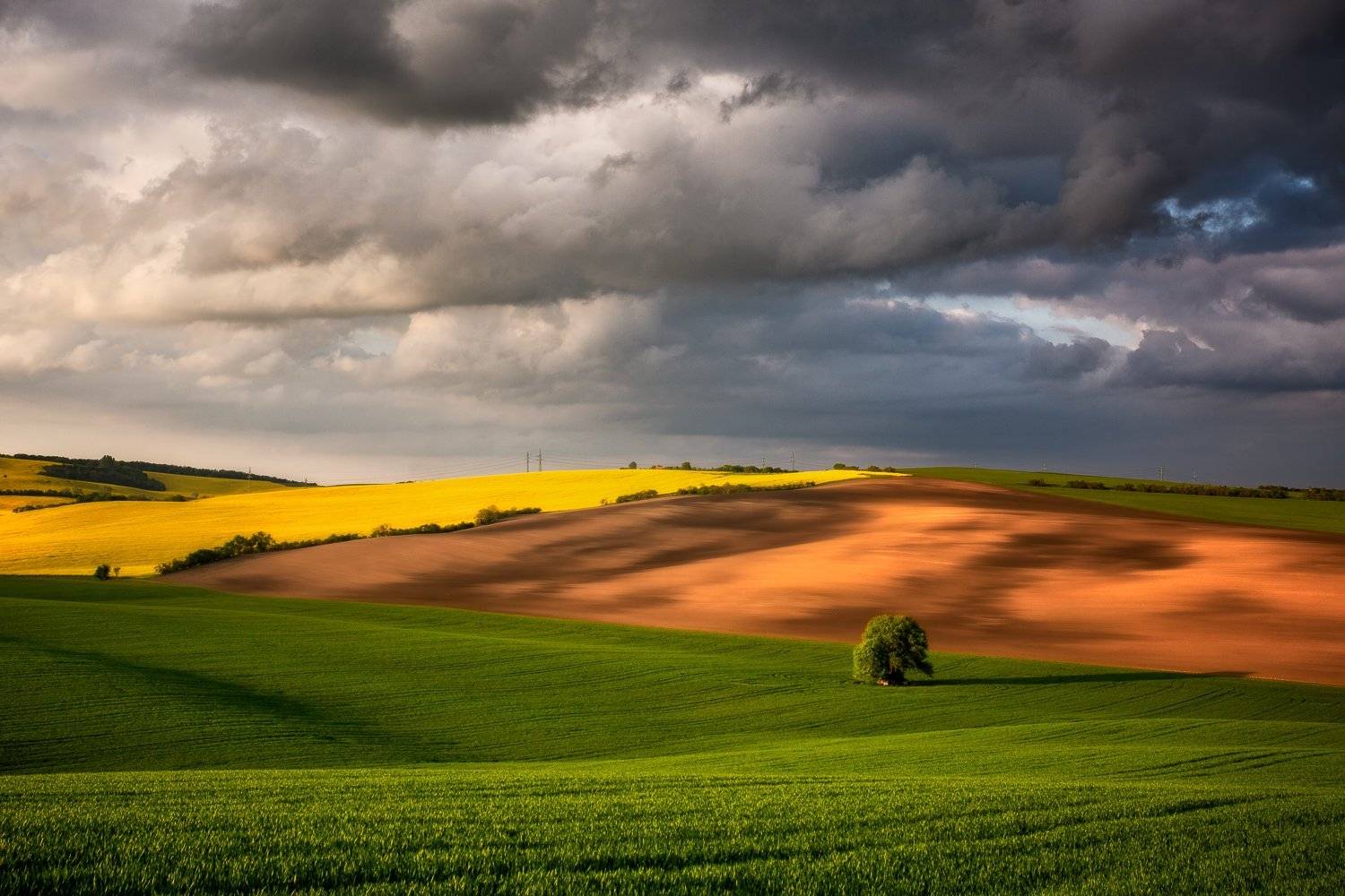 , Pawel Uchorczak