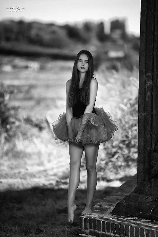 Step up фото превью