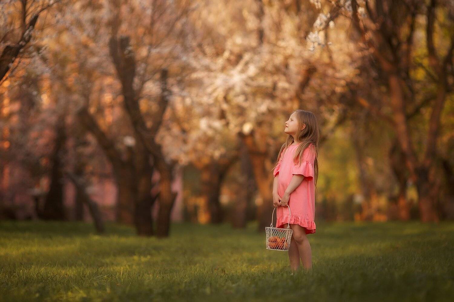 , Ника Колесникова