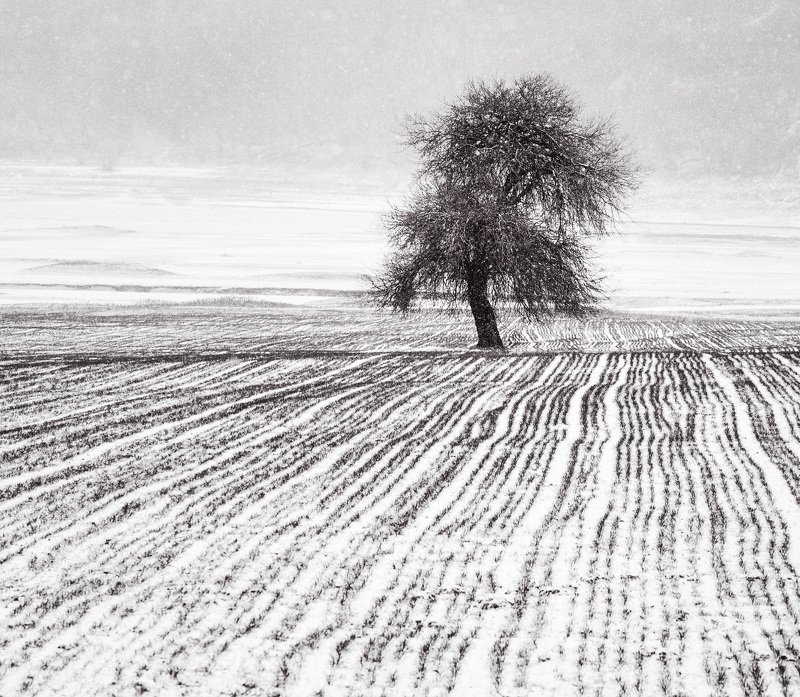 Alone фото превью