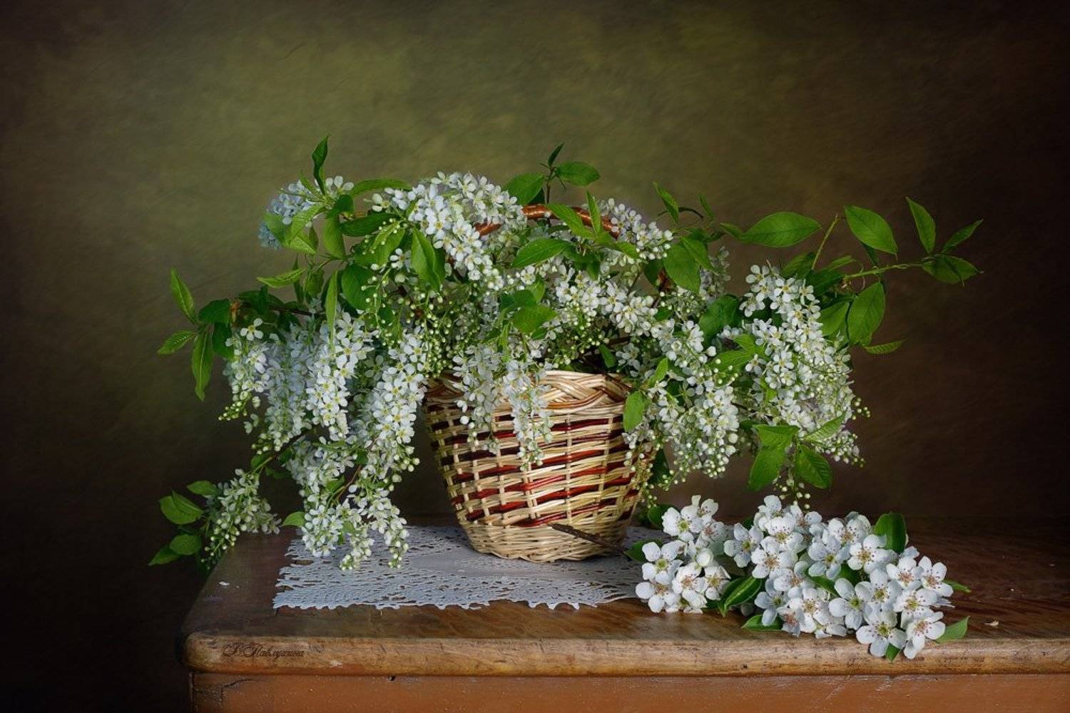 натюрморт,черемуха,груша,лукошко,весна,вера павлухина,, Вера  Павлухина