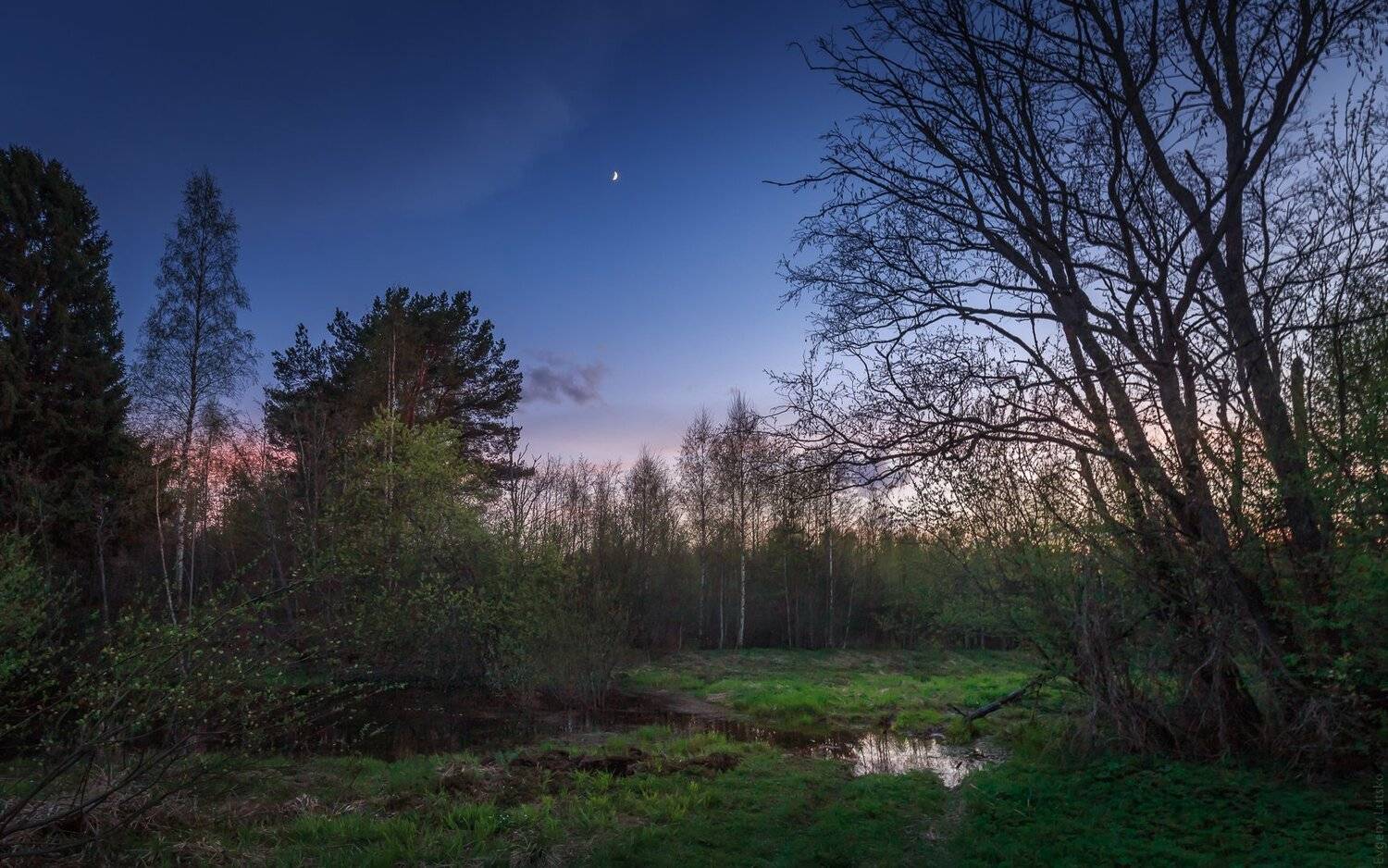 , Евгений Луцко