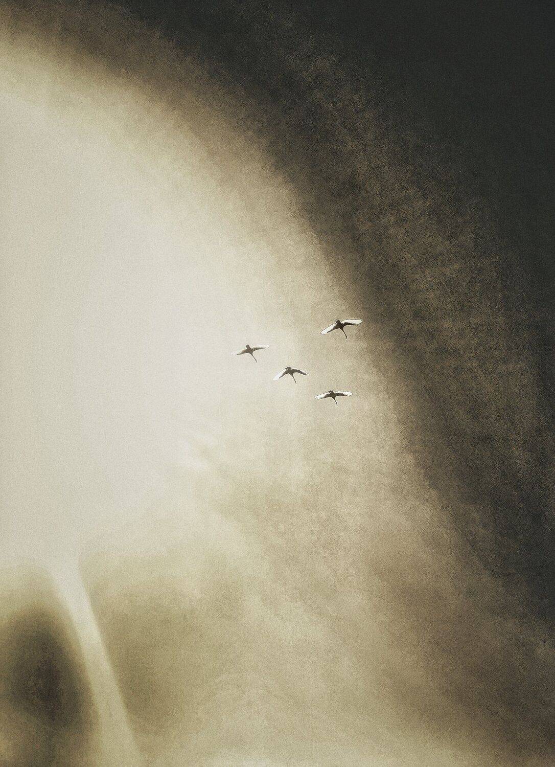 #iphone, #picsart, #snapseed, Artur Politov