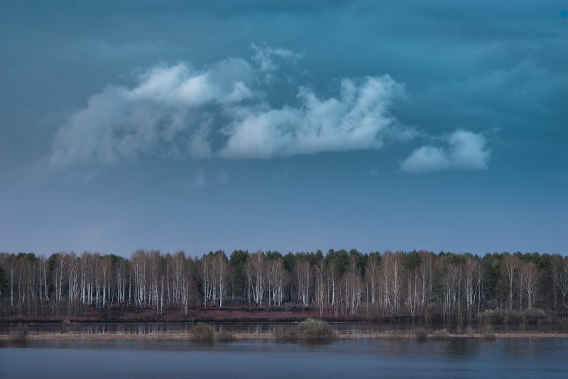 Неказистая природа севера весной фото превью