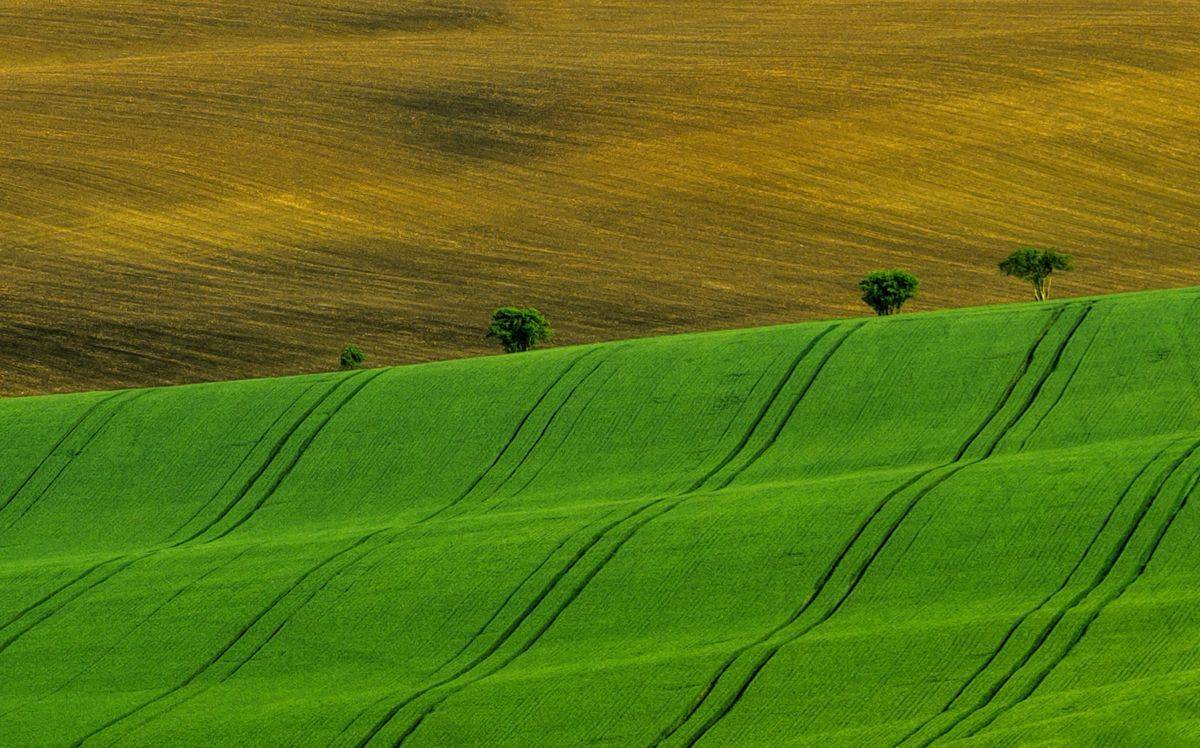 , Sławek Przybylski