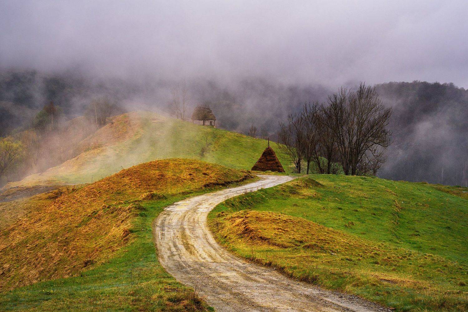 , Albena Andonova-Asa