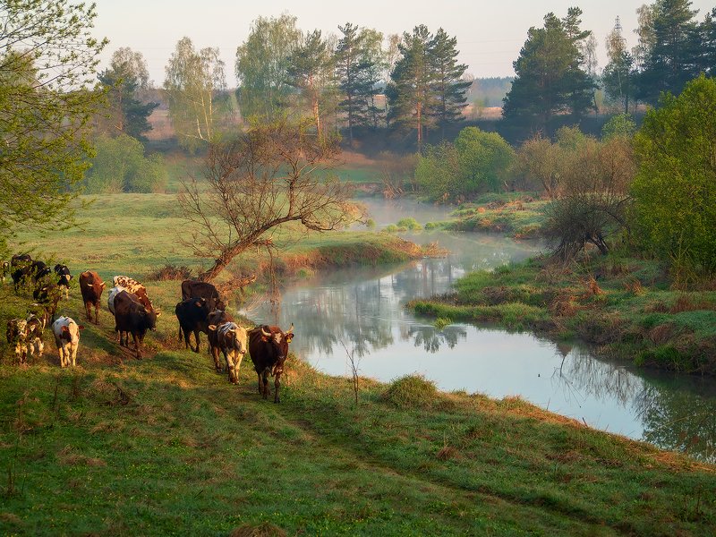 Однажды майским утром... фото превью