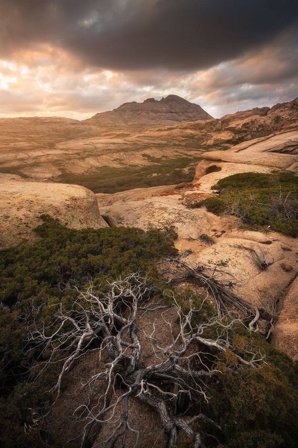 , Бахышев Сафар