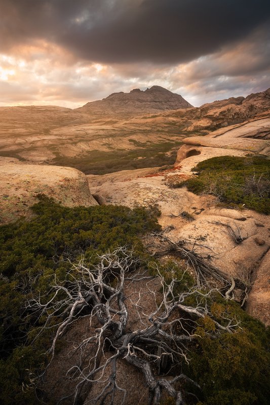 Bektau фото превью