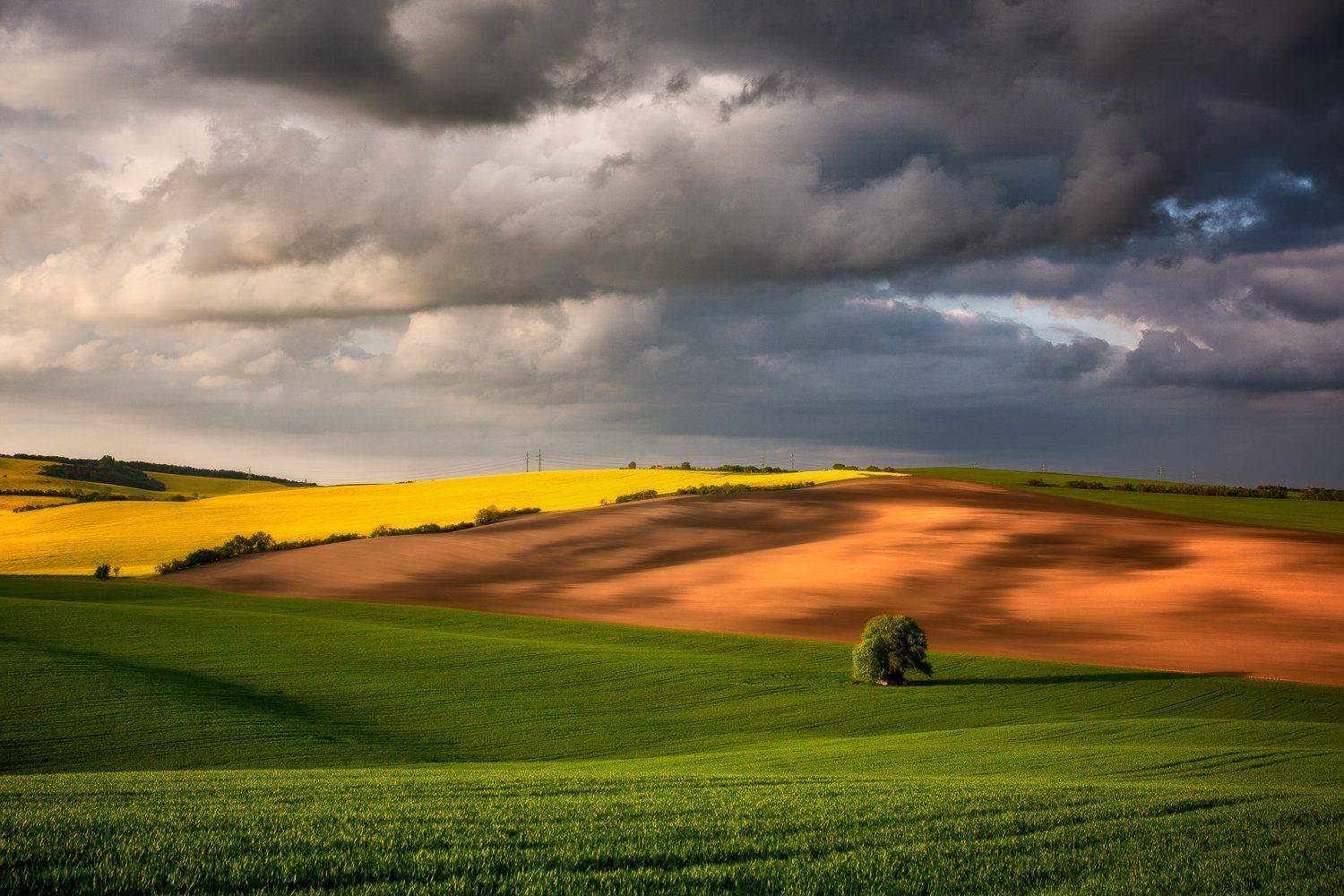, Pawel Uchorczak