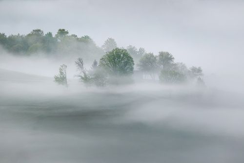 The Mystical Morning