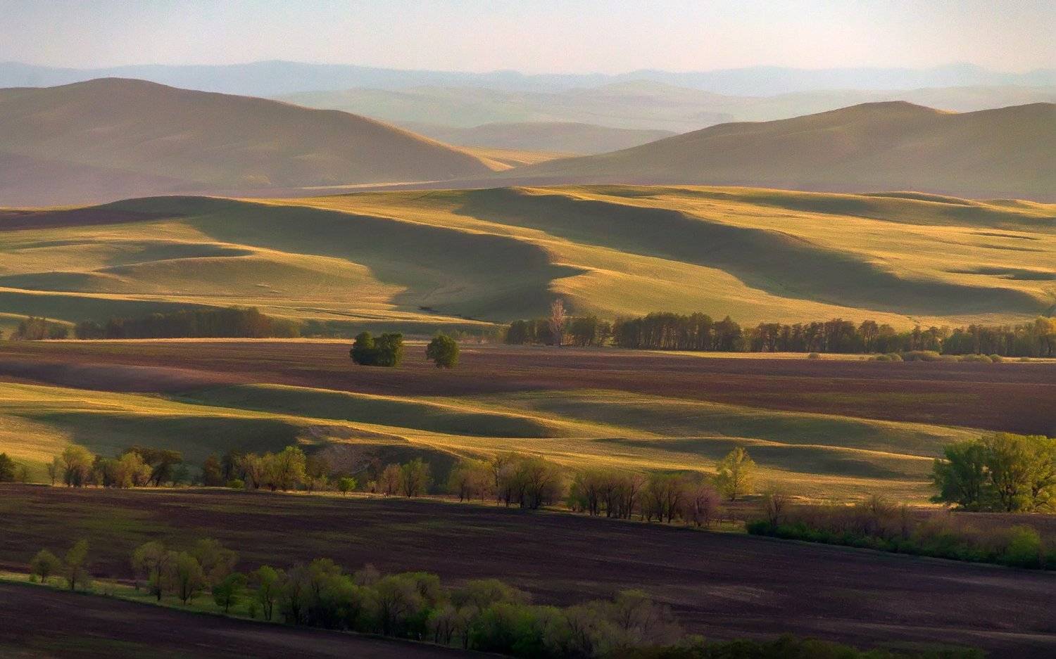 утро, рассвет, восход, туман, лучи, Леонид Максименко