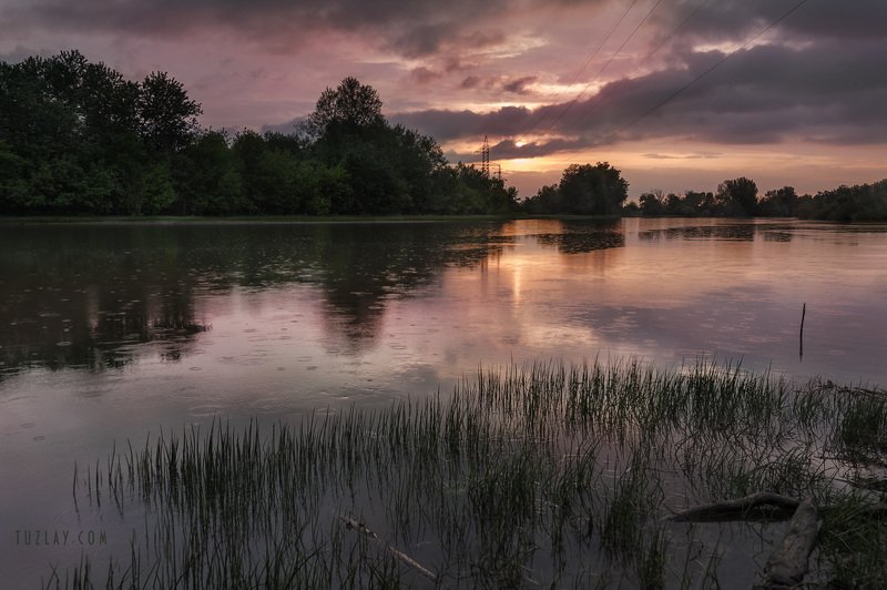 кубань, май, весна, таманский полуостров, темрюк Кубанское весеннее 2019 фото превью